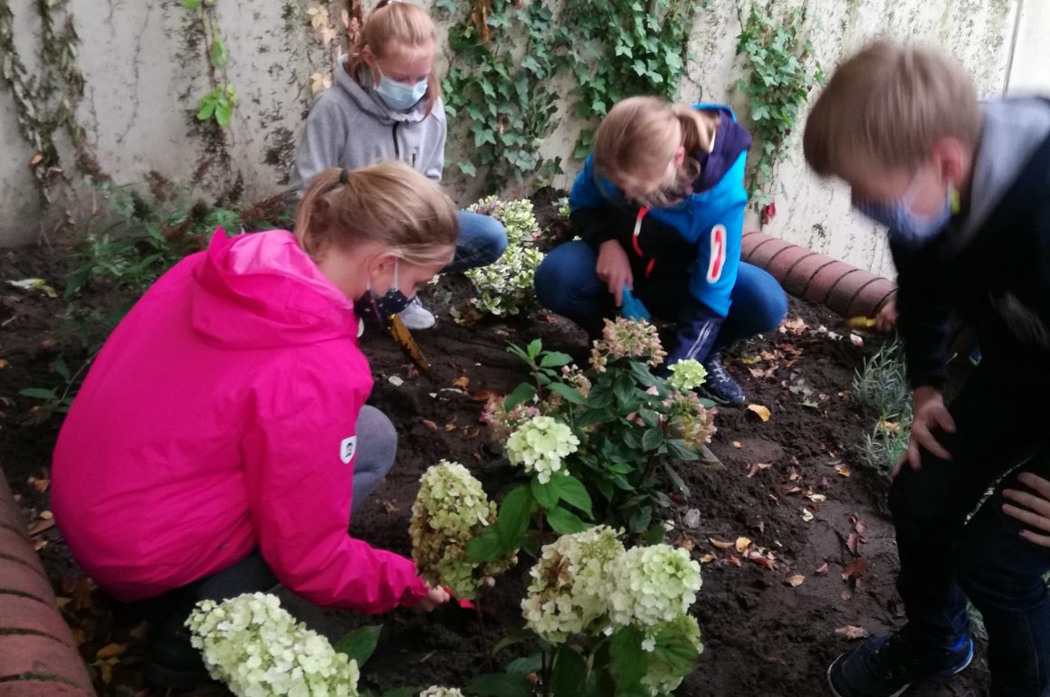 kantbluehtauf Schulgarten