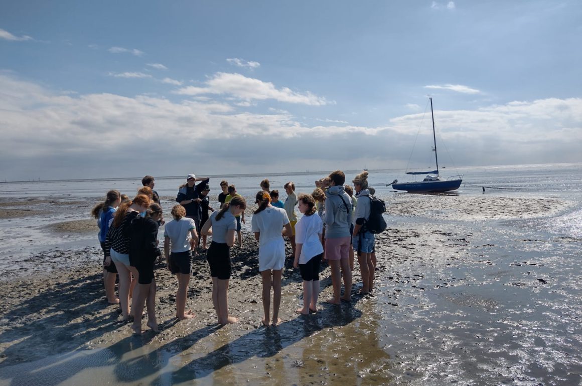 Ahoi, ihr Landratten – Die 6. Klassen grüßen von der Insel Juist