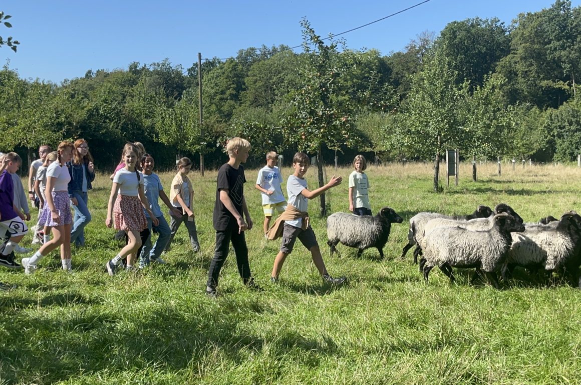 Teambuilding der 7. Klassen beim NABU auf Haus Heidhorn