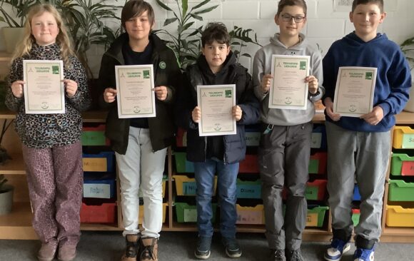 Internationaler Mathematik Teamwettbewerb „Bolyai” 2026