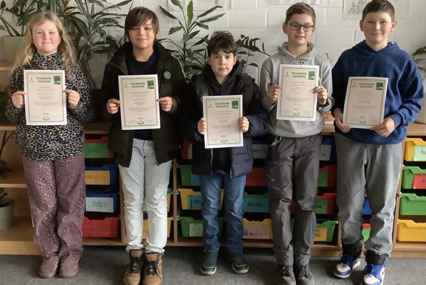 Internationaler Mathematik Teamwettbewerb „Bolyai” 2026